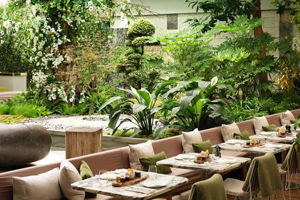 餐廳綠化景觀設計制作